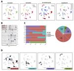 Extensive patient-to-patient single nuclei transcriptome heterogeneity in pheochromocytomas and paragangliomas