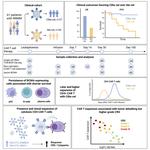 A longitudinal single-cell atlas to predict outcome and toxicity after BCMA-directed CAR T cell therapy in multiple myeloma