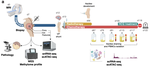 Reprogramming of pro-tumor macrophages by hydroxychloroquine in an abdominally metastasized diffuse midline glioma