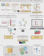 Mapping T cell dynamics to molecular profiles through behavior-guided transcriptomics