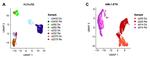 Longitudinal single-cell transcriptomics reveals distinct patterns of recurrence in acute myeloid leukemia